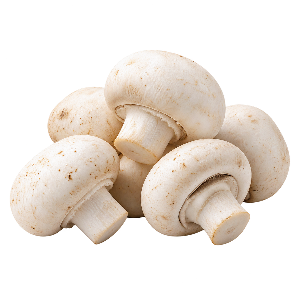[HOSNI-MENU-PRODUCE-70] White Button Mushroom Tray