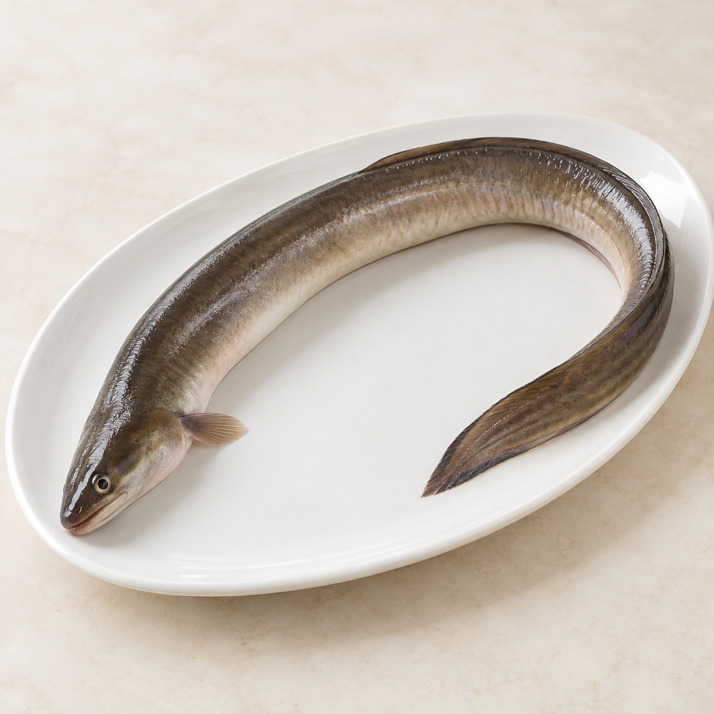 ثعابين (بدون طهي)