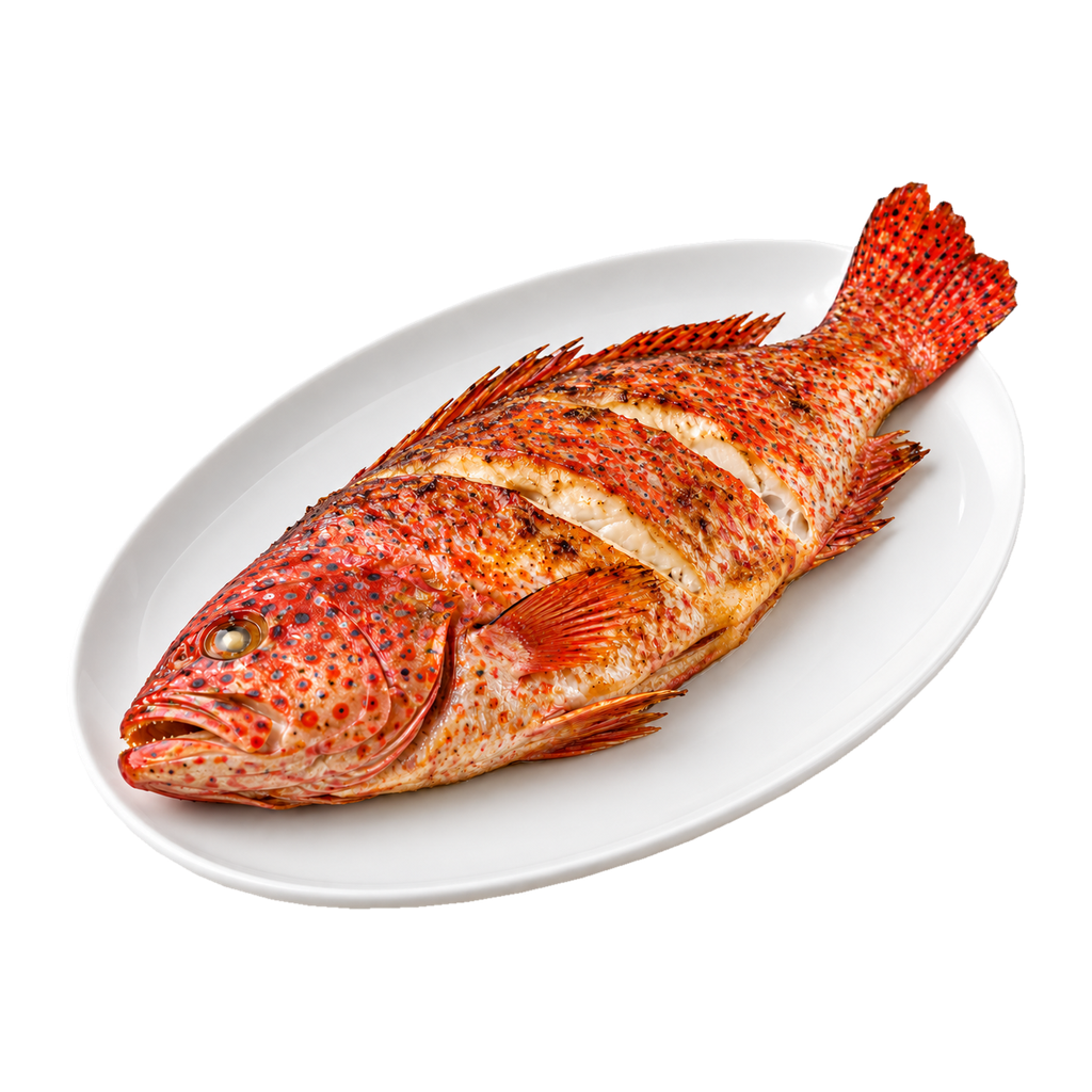 ناجل (مقلي)