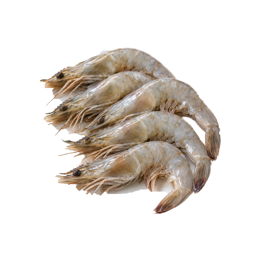 جمبري وسط