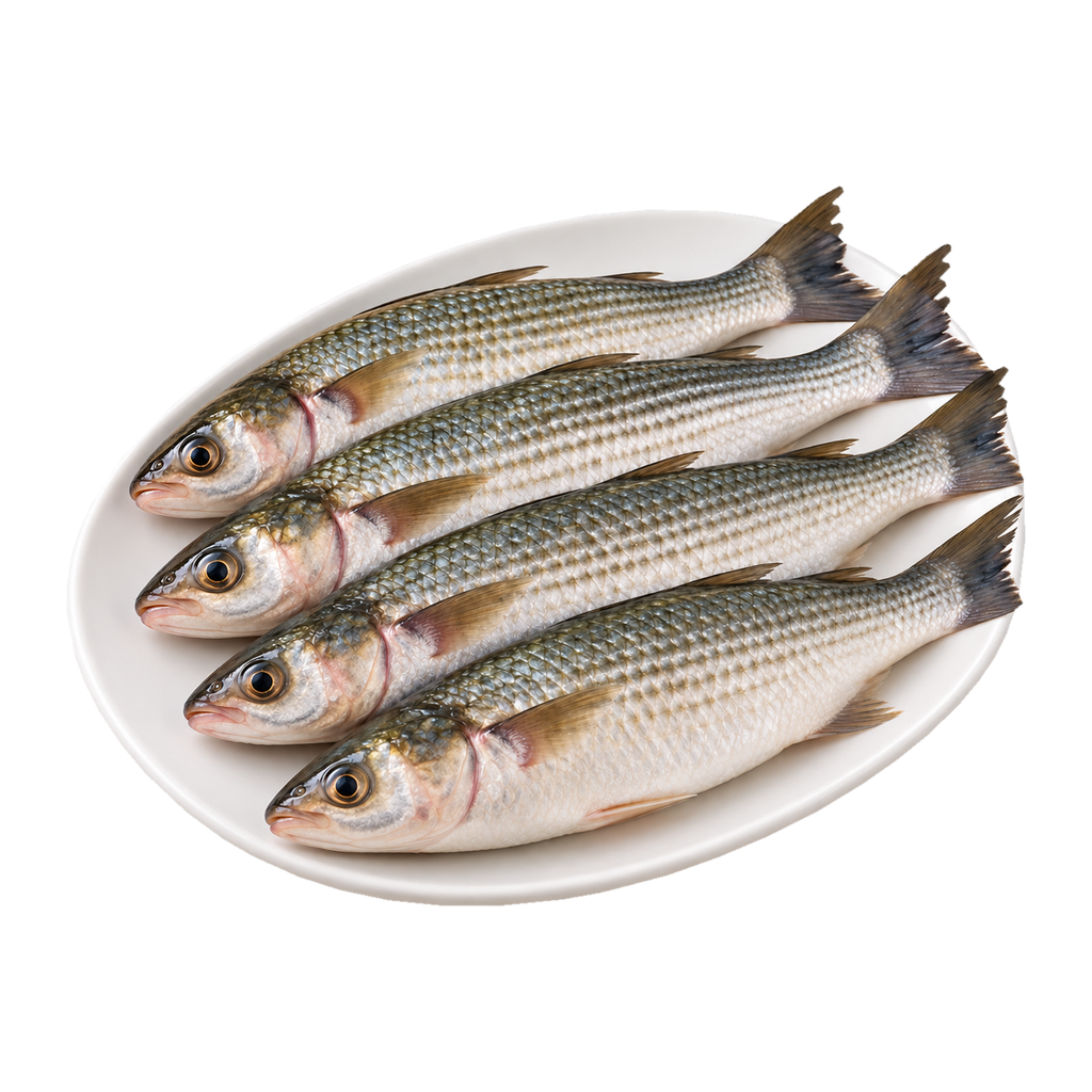 سهيلية