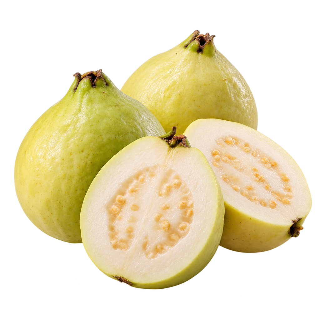 [AVOCADO-MENU-FRUIT-019] Guava