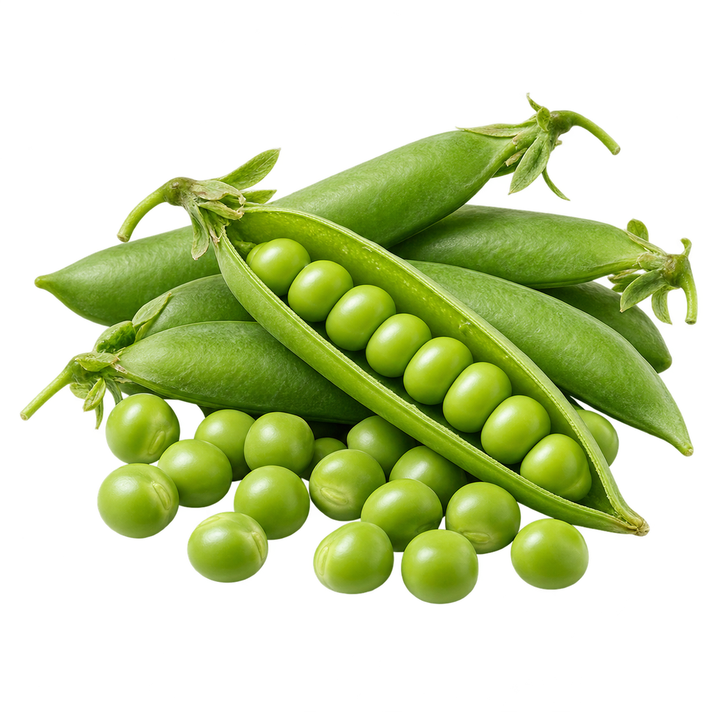 [AVOCADO-MENU-VEG-001] بسلة