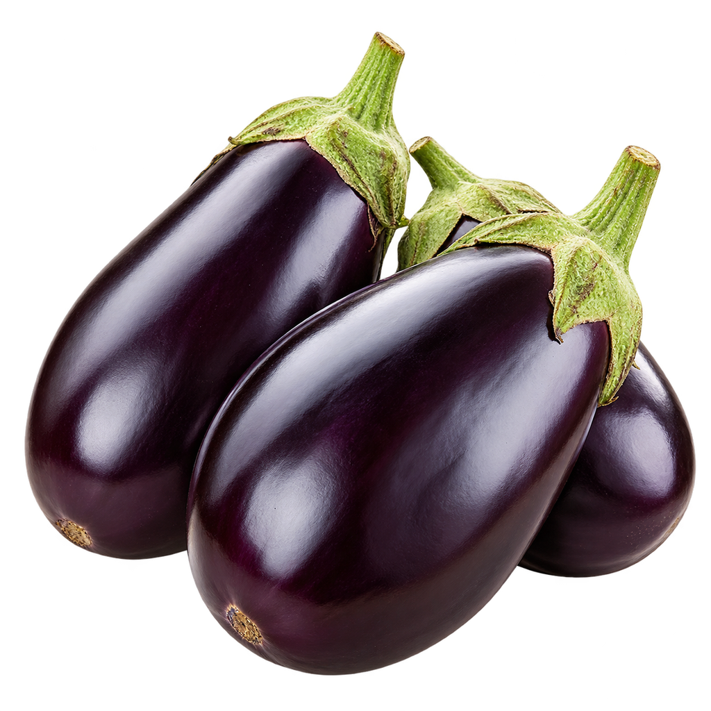 [AVOCADO-MENU-VEG-005] Globe Eggplant