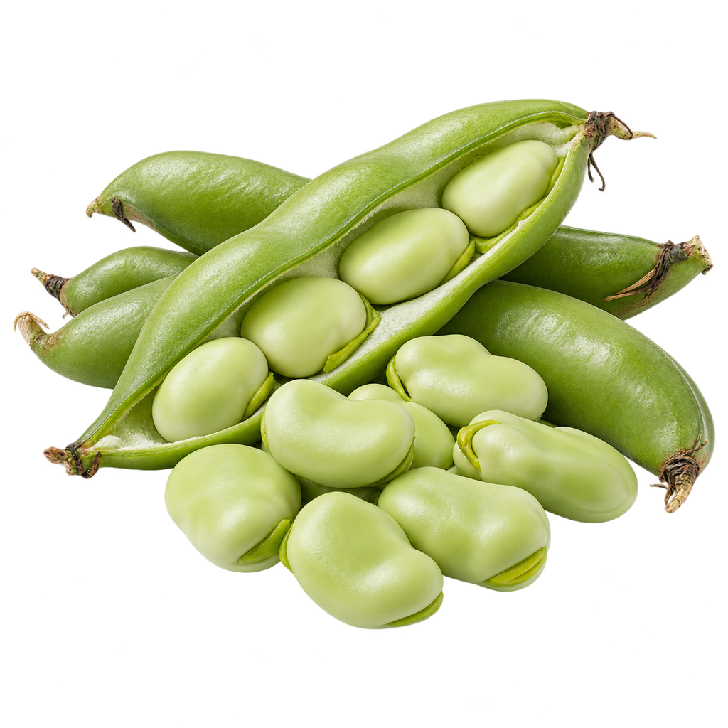 [AVOCADO-MENU-VEG-028] فول حراتي