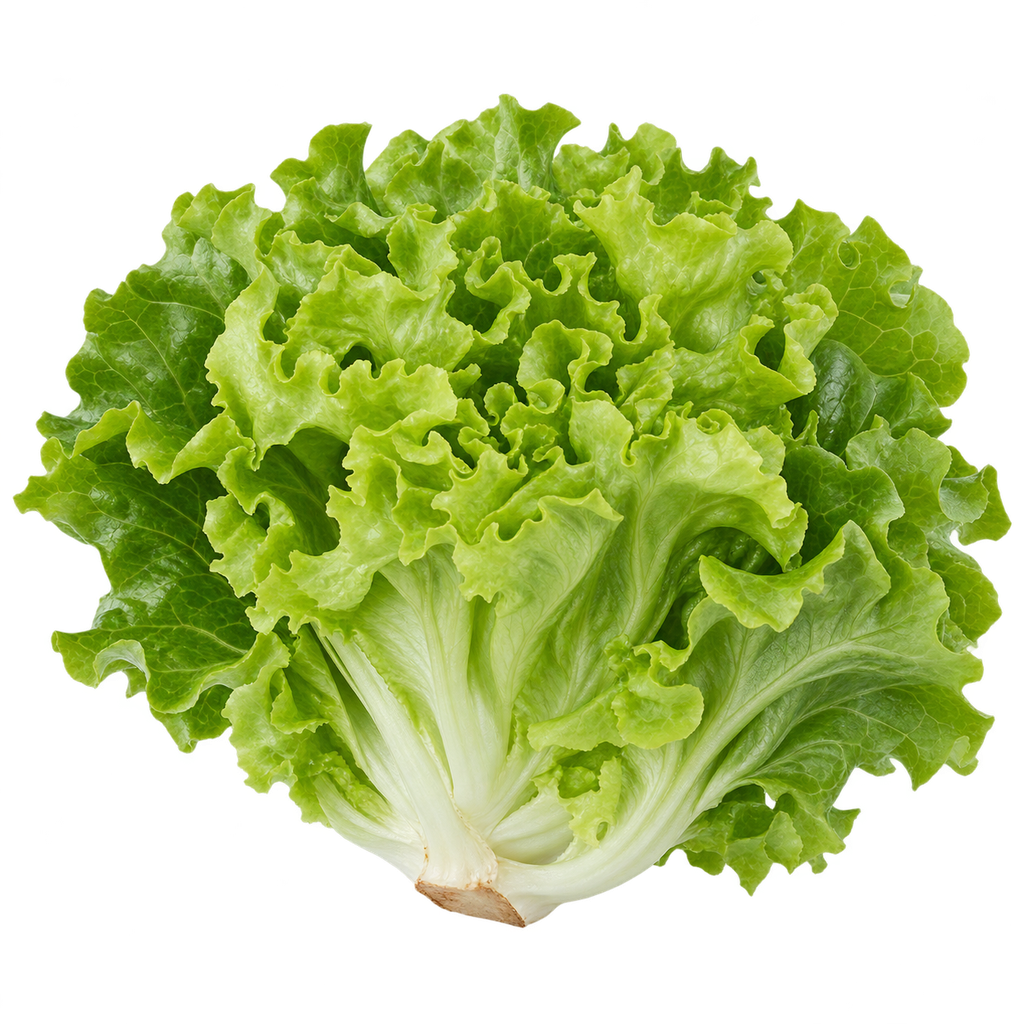 خس بلدي