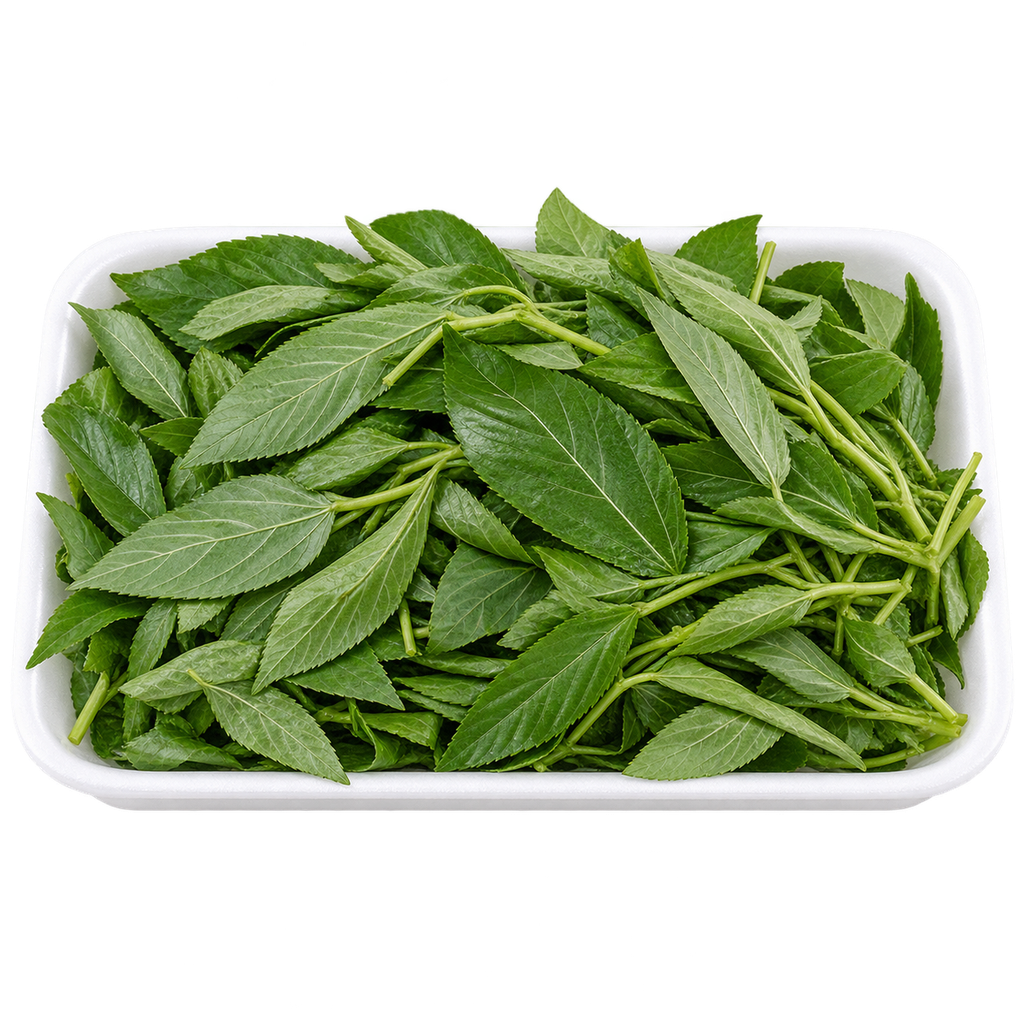 [AVOCADO-MENU-TRAY-006] Molokhia Tray