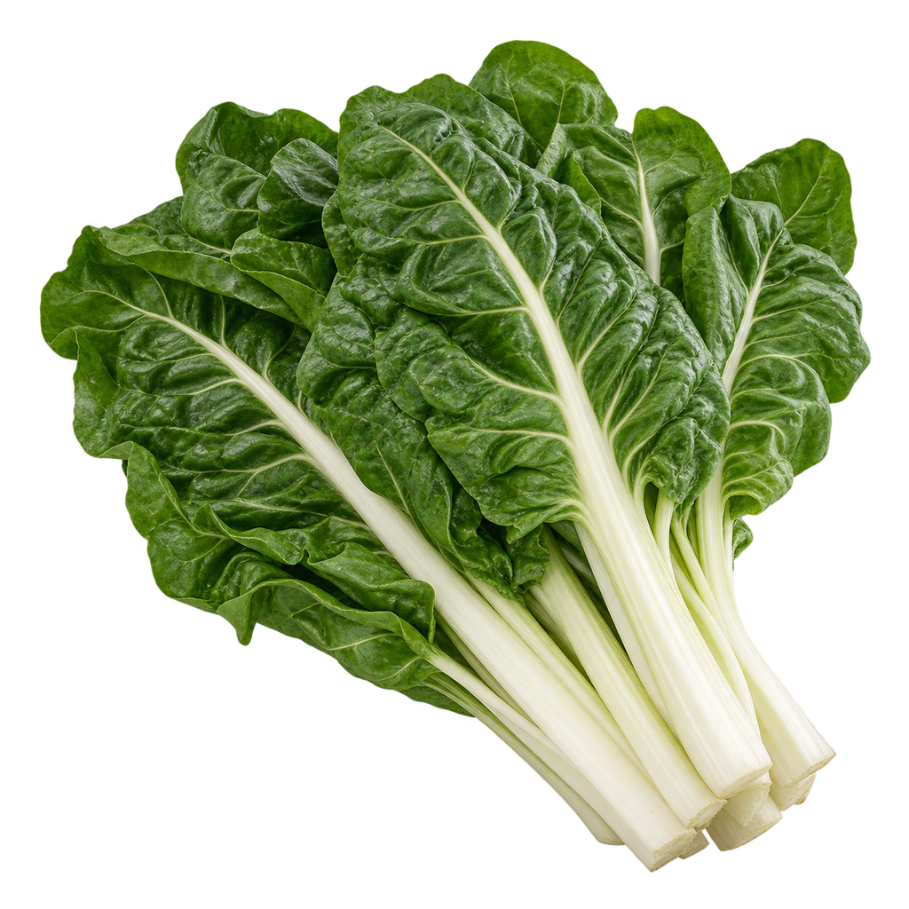سلق