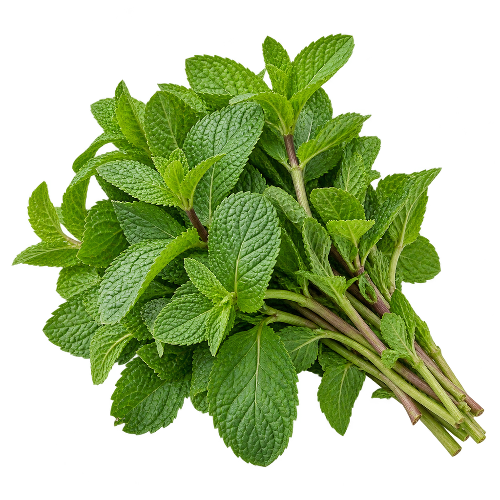 نعناع