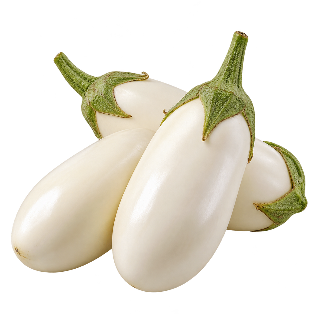 [OWLAD-MENU-008] White eggplant