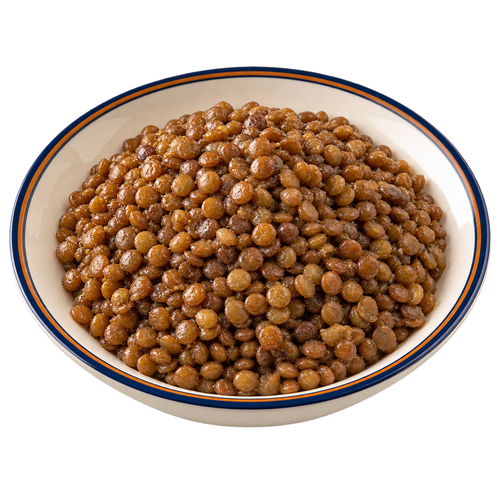 [QANDIL-MENU-KOSHARY-EXTRA-08] Koshary Lentils